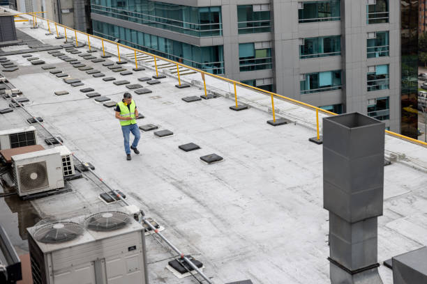Best Roof Insulation Installation  in Killen, AL